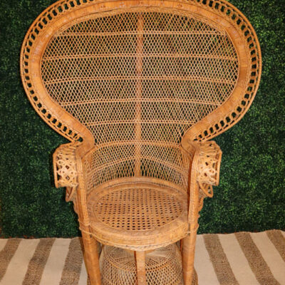 savanah peacock chair