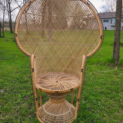 peacock chair new